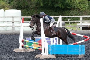 Class 3 -  Fences not above 2'3